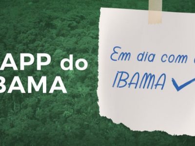 ATENÇÃO EMPREENDEDORES, EMPRESÁRIOS E AGRICULTORES QUANTO AO TEOR DO RAPP DO CTF / IBAMA.