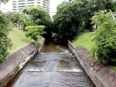 REGULARIZAÇÃO DE ÁREA DE PRESERVAÇÃO PERMANENTE EM IMÓVEIS URBANOS NO ESTADO DE SÃO PAULO.