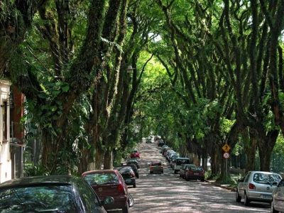 Lei 13.731/2018 prevê mecanismos de financiamento para a arborização urbana e a recuperação de áreas degradadas