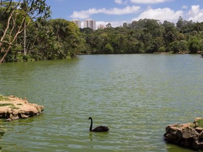 SP tem quatro novas Reservas Particulares de Patrimônio Natural  Unidades de conservação estão localizadas nos municípios de Pindamonhangaba, Socorro, Indaiatuba e São José do Barreiro.