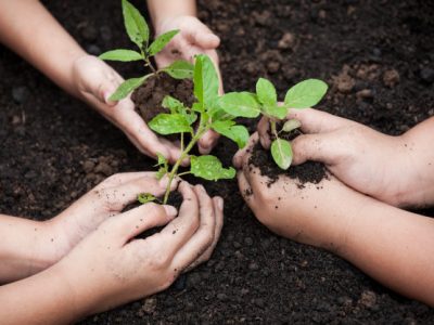 Educação Ambiental.  Revista Síntese – Direito Ambiental, 2012.