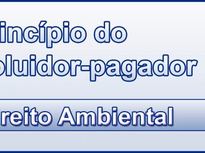 APONTAMENTOS AO PRINCÍPIO DO POLUIDOR PAGADOR E DO USUÁRIO PAGADOR NO DIREITO AMBIENTAL