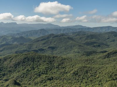 Instrução Normativa do Ibama estabelece novos procedimentos para anuência à supressão de vegetação em Mata Atlântica.