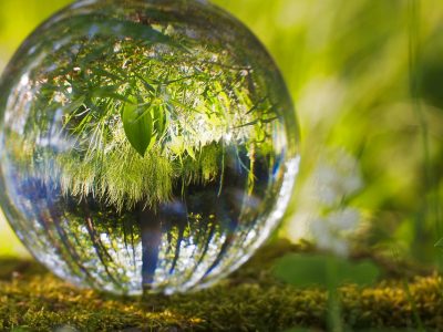 STJ – Primeira Seção consolida entendimento de que responsabilidade administrativa ambiental é subjetiva