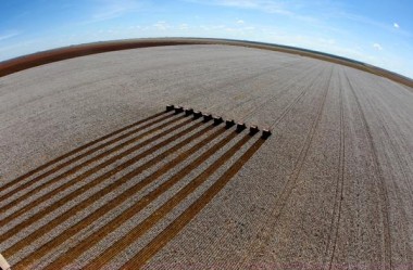 Programa Nacional de Zoneamento Agrícola de Risco Climático – ZARC