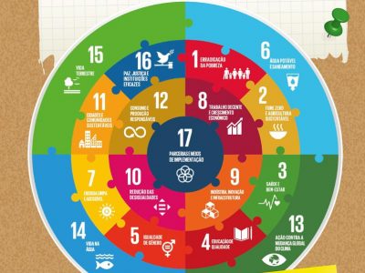 Curso: Os Objetivos de Desenvolvimento Sustentável e o Terceiro Setor