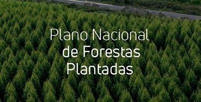 Publicação: Plano de Florestas Plantadas