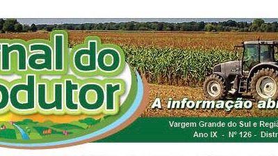 As Atividades de Baixo Risco na Lei de Liberdade Econômica e os Municípios