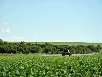 Agrotóxico, defensivo, afinal o que se joga nas plantações?