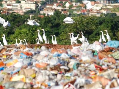 Ana publica primeira Resolução sobre Serviços Públicos de Manejo de Resíduos Sólidos.