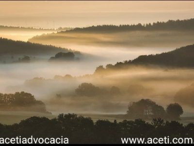 Floresta + Bioeconomia é lançado pelo Ministério do Meio Ambiente