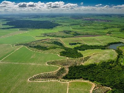 Plano nacional irá agilizar a implementação do Código Florestal em imóveis rurais.