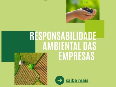 A Responsabilidade Ambiental das Empresas