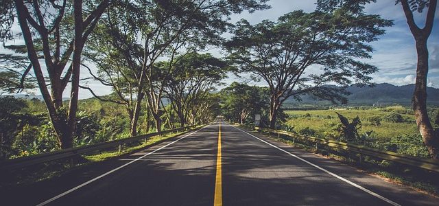 Produtores rurais agora podem plantar em faixas de domínio de rodovias estaduais em SP
